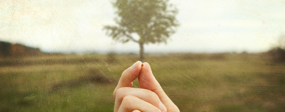 cropped-screen-shot-2013-02-27-at-4-44-57-pm2